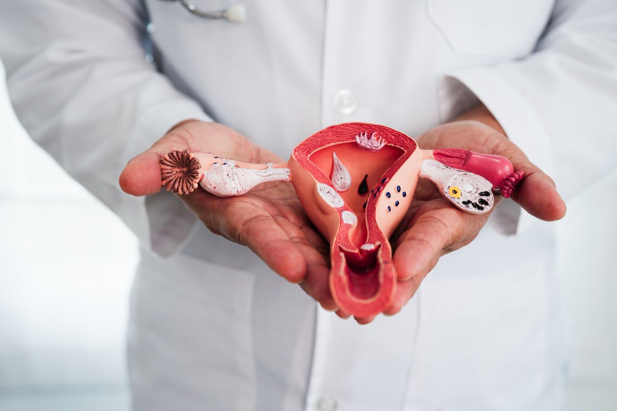 Clinician using an anatomical model while explaining treatment preparation